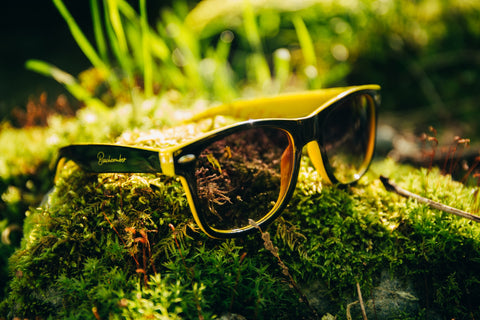 Beachcomber Shades
