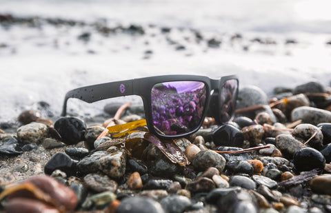 Beachcomber Purple Shades