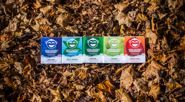 Wize Monkey Tea